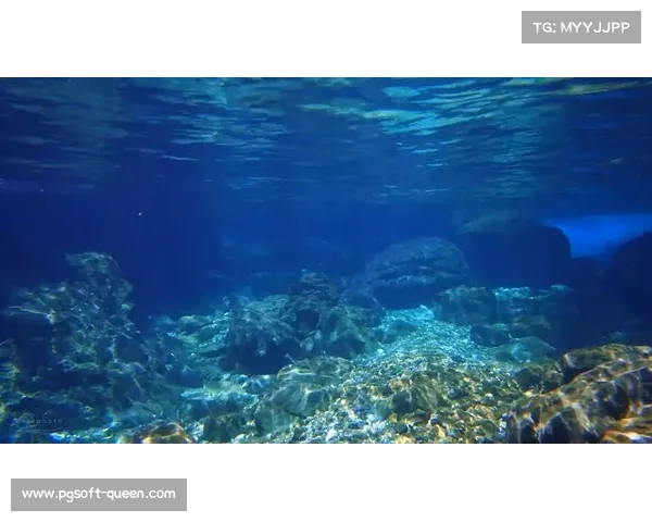 美人鱼运动与水下冥想助力心理咨询缓解焦虑案例增多探索 美人鱼运动与水下冥想助力心理咨询缓解焦虑案例增多探索