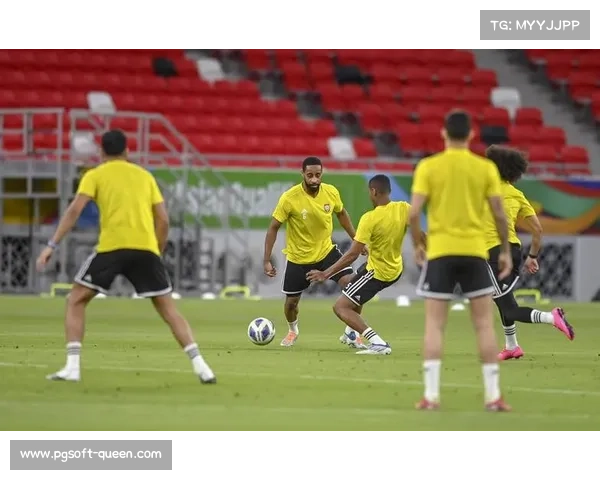 阿克伦体育场高原效应揭秘，韩国队世界杯备战挑战环境因素