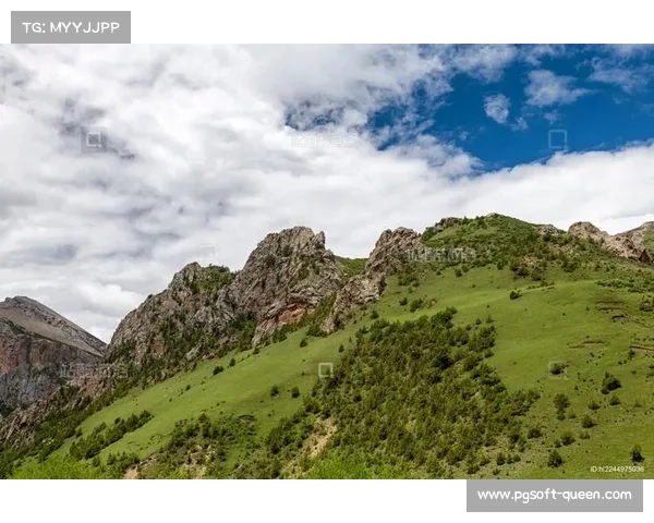 青海玉树队高原优势，地理因素分析